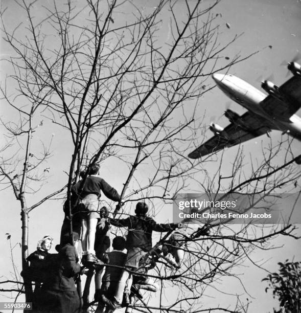 Children on a tree near the Brandenburg Gate watch a US four-engined cargo aeroplane arrive during the Berlin Airlift, 24th June 1948. Original...