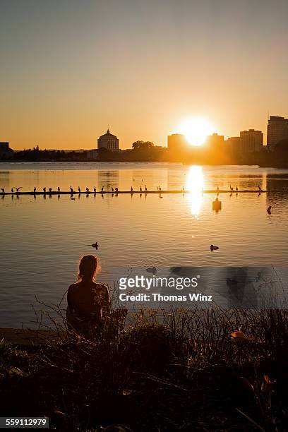 woman watching sunset - alameda county stock pictures, royalty-free photos & images