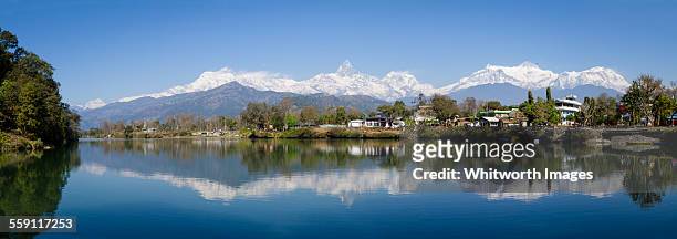 reflections of the annapurnas in fewa lake pokhara - nepal water stock pictures, royalty-free photos & images