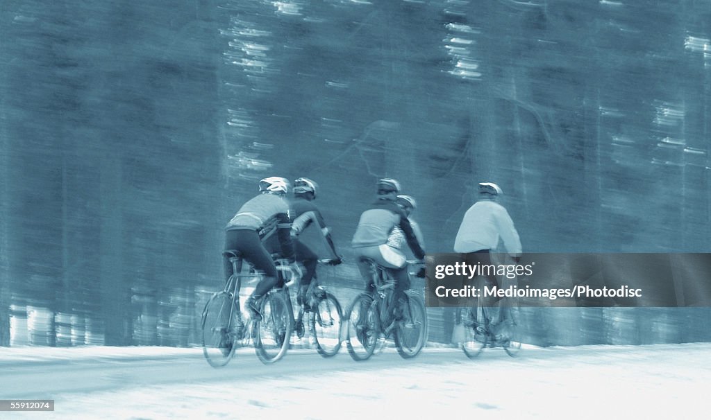 Rear view of five people cycling