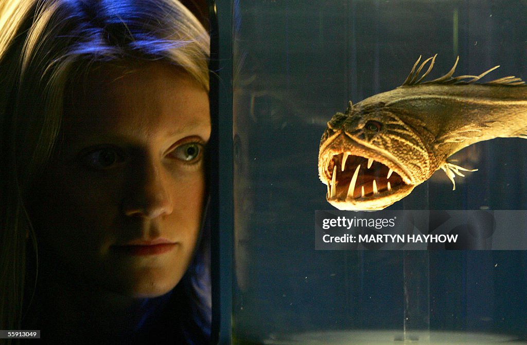 A visitor to the Science Museum in Lond