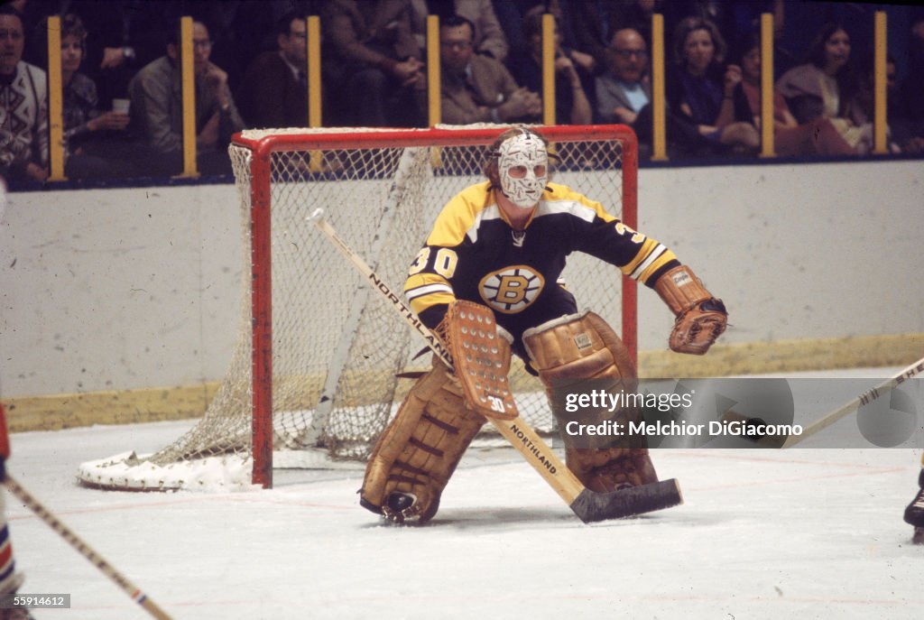 Cheevers Guards The Net