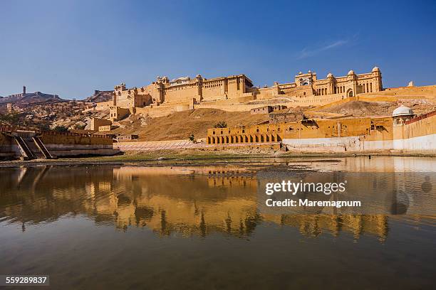 view of amber fort palace from maota lake - amer fort stock pictures, royalty-free photos & images