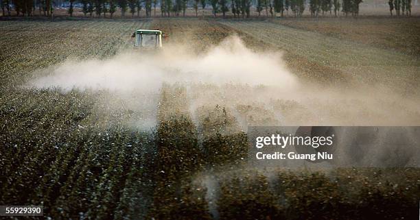Labourer works in a cotton field on October 15, 2005 in Shihezi city of Xinjiang province, China. Every year, thousands of farmers from inland...