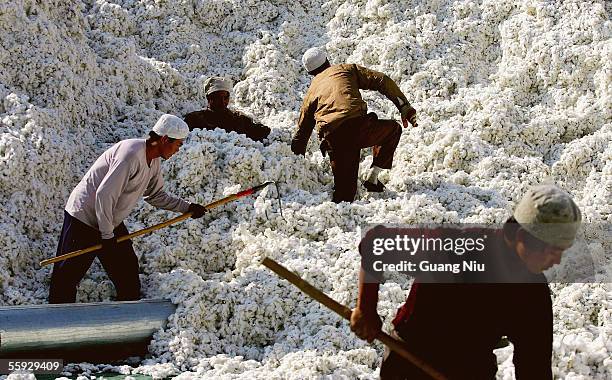 Migrants work at a cotton factory on October 15, 2005 in Shihezi city of Xinjiang province, China. Attracted by the prospect of earning more, rural...