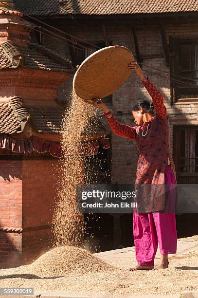 Seiving Rice Rice Sieve Photos and Premium High Res Pictures - Getty Images