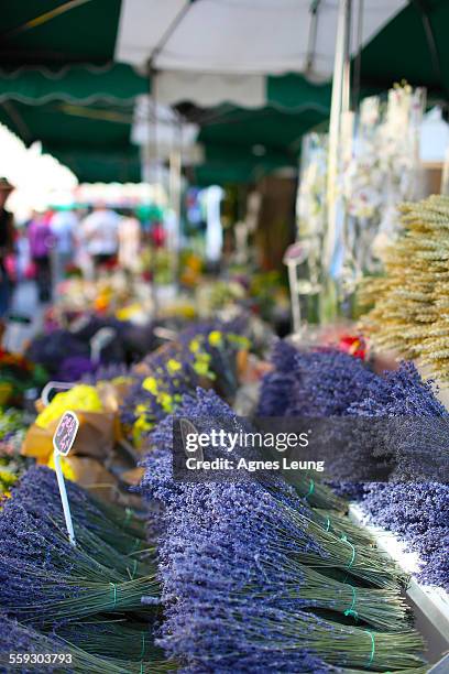 bouquets of lavender in the market of apt, france - marché provence photos et images de collection