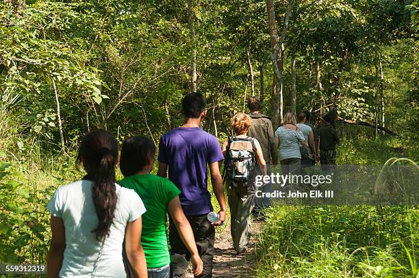 guides leading group on nature walk through jungle - chitwan stock pictures, royalty-free photos & images