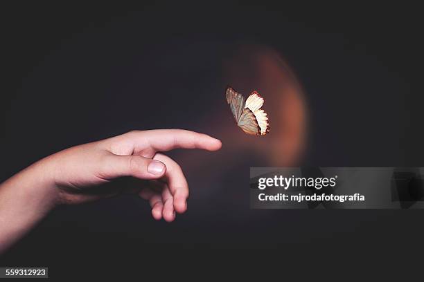 magical moment - butterfly hand stock-fotos und bilder