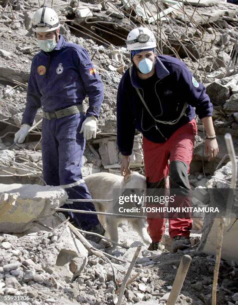 Members of Spanish rescue team, Unidad Canina de Rescate K-9 de Creixell, and their dog, search the debris of collapsed buildings in Balakot,...