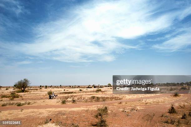 335 Sudan Savannah Stock Photos High Res Pictures And Images Getty 335-sudan-savannah-stock-photos-high-res-pictures-and-images-getty