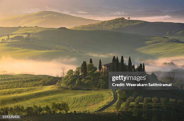podere belvedere - tuscany fotografías e imágenes de stock