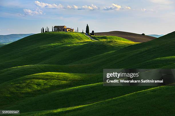 rolling hill near asciano, tuscany. - colina fotografías e imágenes de stock