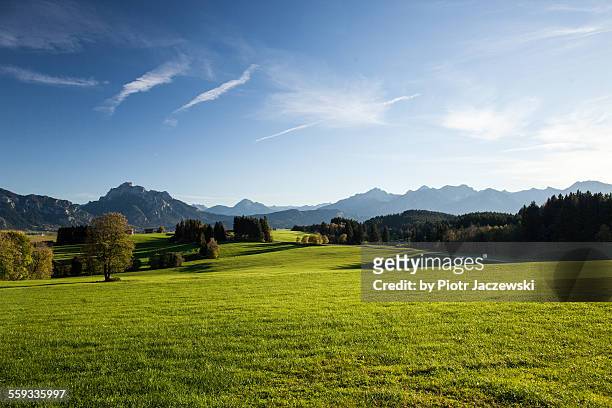 bavarian landscape - field blue sky fotografías e imágenes de stock