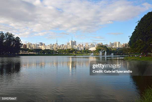 ibirapuera and são paulo skyline - top view of ibirapuera park in sao paulo brazil stock pictures, royalty-free photos & images