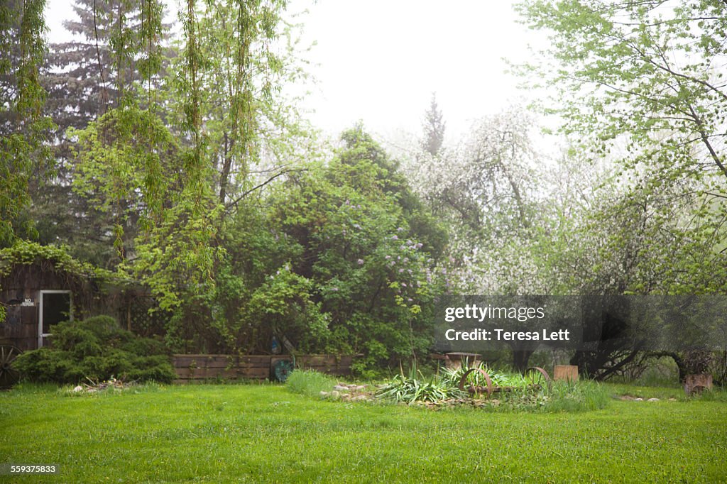 Spring yard with garden