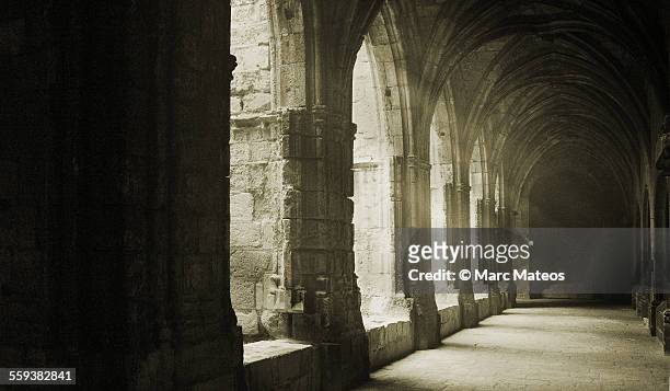 narbonne's cathedral cloister - marc mateos stock pictures, royalty-free photos & images