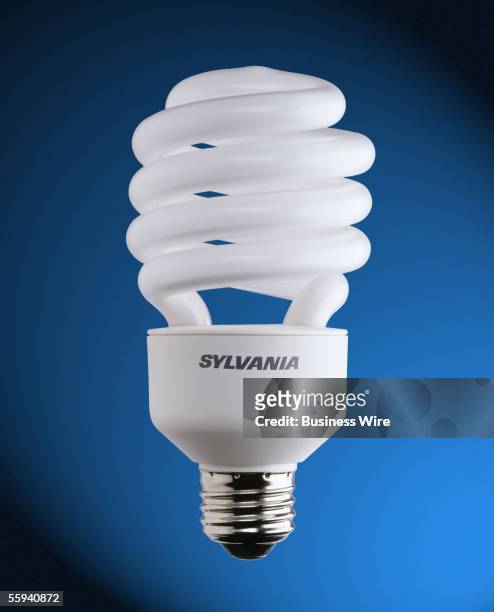 Using ENERGY STAR rated compact fluorescent light bulbs in your home is one way to keep energy bills down, while protecting the environment by...
