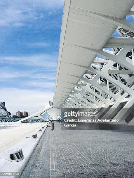 City of Arts and Sciences of Valencia, Spain May 24, 2015