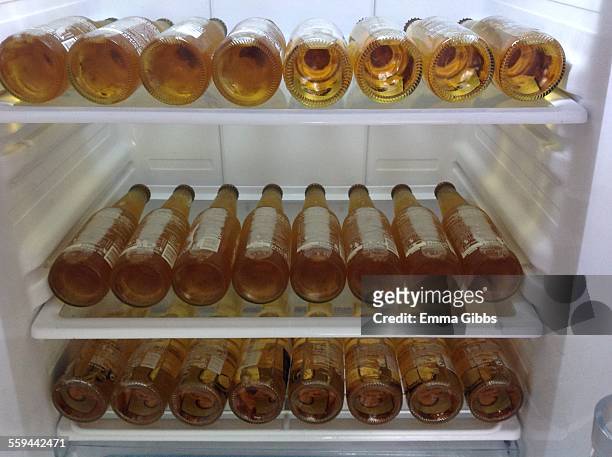 what's in the fridge - beer fridge stock-fotos und bilder