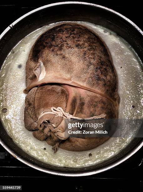 best of the month - cooking haggis stock pictures, royalty-free photos & images
