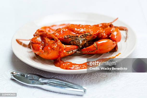 chilli crab - singapore food stock pictures, royalty-free photos & images