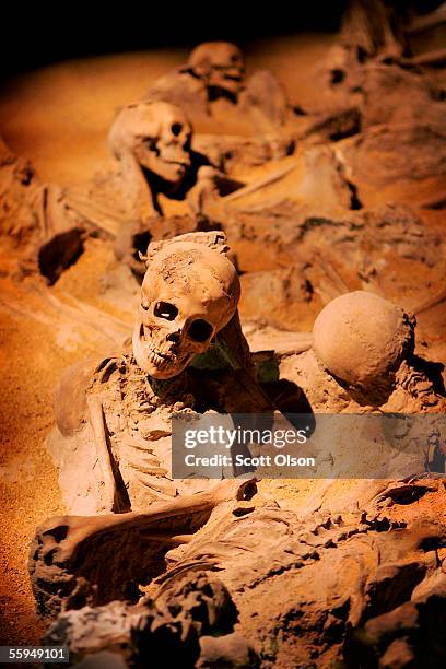 Cast of a skeleton made from a boat shelter near the seashore of Heraculaneum, where 32 people sought shelter during the eruption of Mt Vesuvius in...