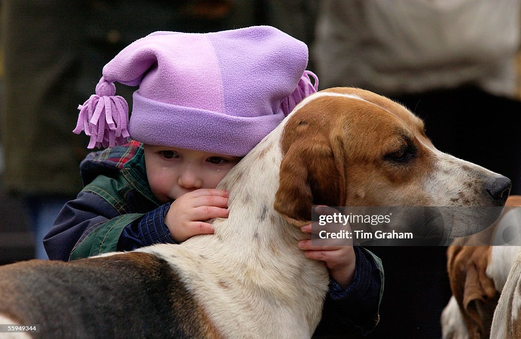 Child hugging a Fox hound