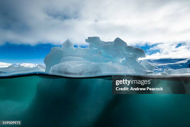 iceberg underwater view, cierva cove - antarctica underwater stock pictures, royalty-free photos & images