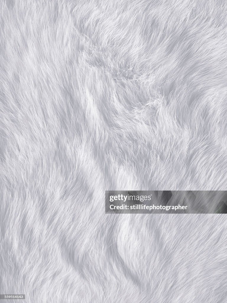 White fur