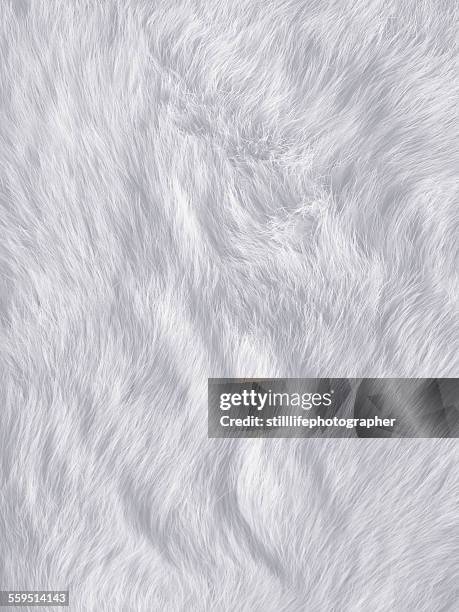 white fur - pelliccia-materiale-tessile foto e immagini stock