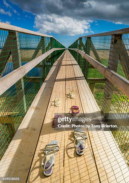 go barefoot on the beach - footsteps on a boardwalk bildbanksfoton och bilder