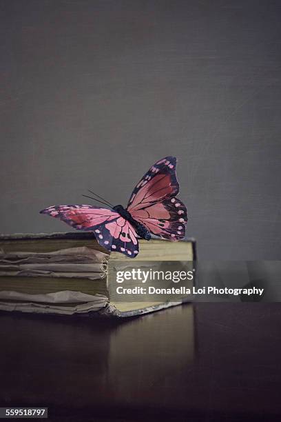 pink butterfly - closing book stock pictures, royalty-free photos & images