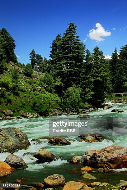 lidder river - pahalgam stock pictures, royalty-free photos & images