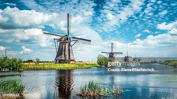traditional dutch windmills - netherlands stockfoto's en -beelden