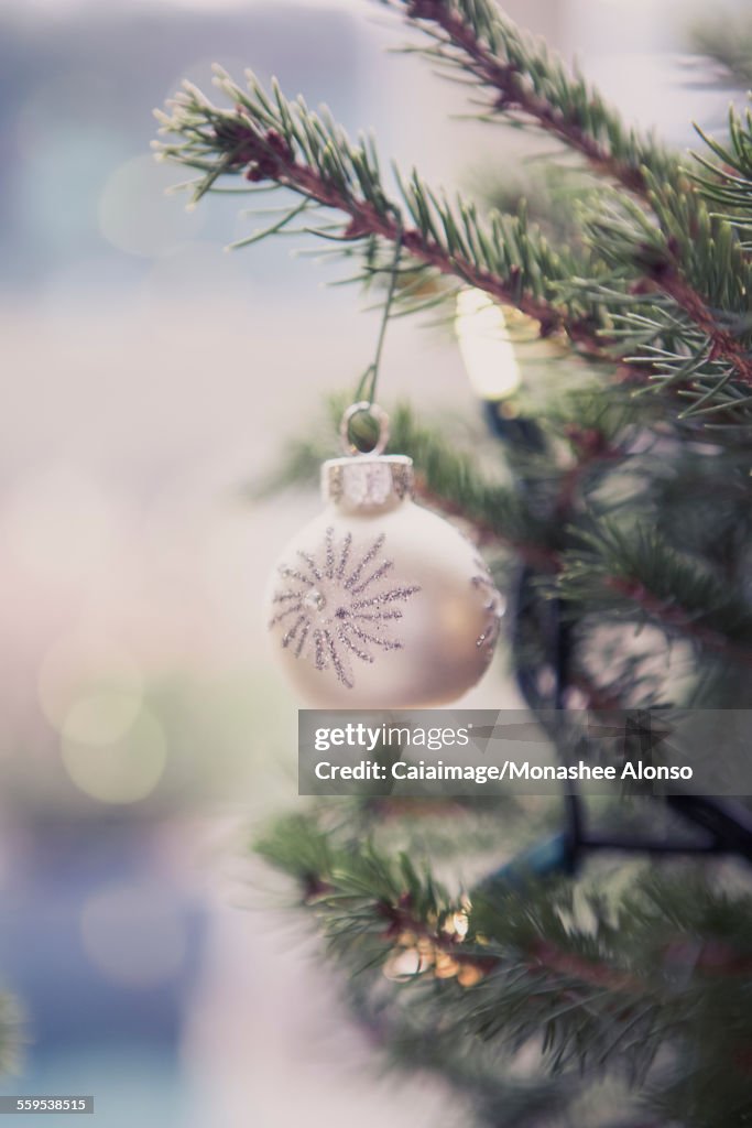 Silver ornament hanging on Christmas tree