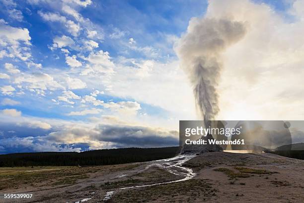 usa, wyoming, yellowstone national park, white dome geyser erupting at sunrise - geyser stock pictures, royalty-free photos & images