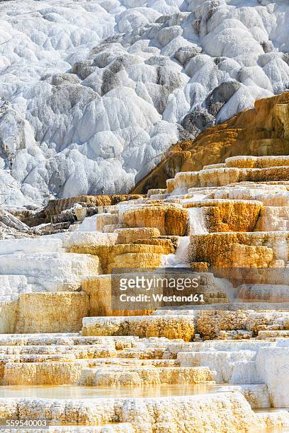usa, wyoming, mammoth hot springs, yellowstone national park, lower terraces, palette spring - mammoth hot springs fotografías e imágenes de stock