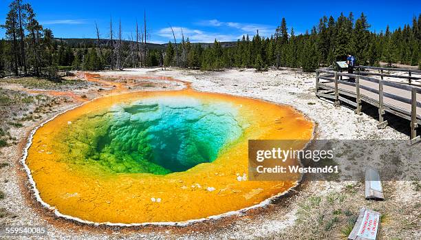 1,121 Archaea Stock Photos, High-Res Pictures, and Images - Getty Images