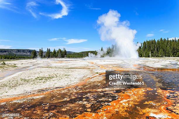 usa, wyoming, yellowstone national park, upper geyser basin, daisy geyser erupting - daisy geyser stock pictures, royalty-free photos & images