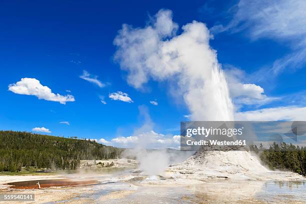 usa, wyoming, yellowstone national park, upper geyser basin, castle geysir erupting - geysir stock-fotos und bilder