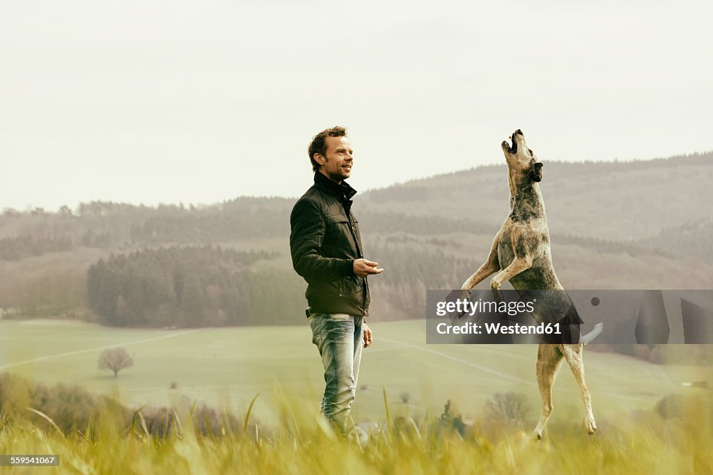 Man exercising with dog on meadow