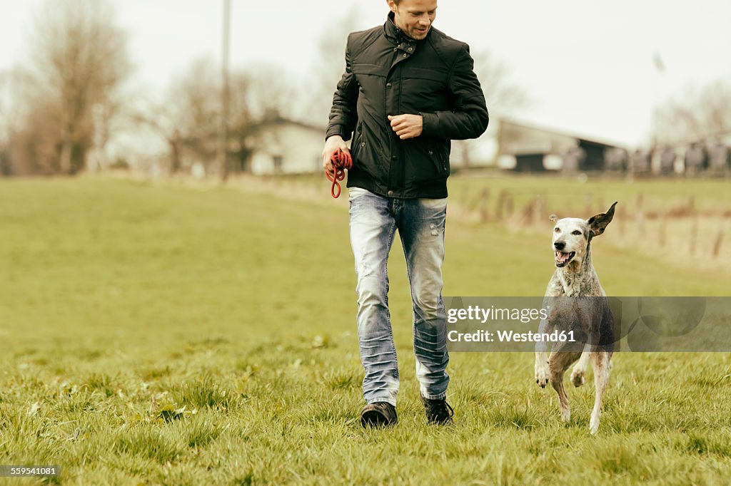 Man exercising with dog on meadow