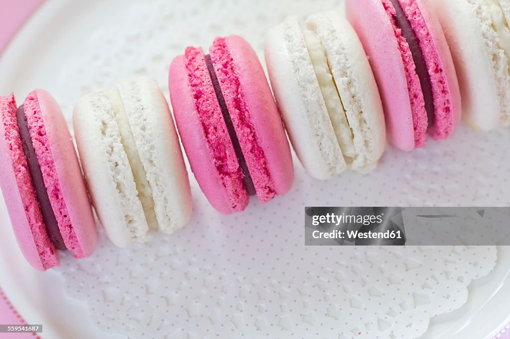 Row of cocos and blackberry macarons