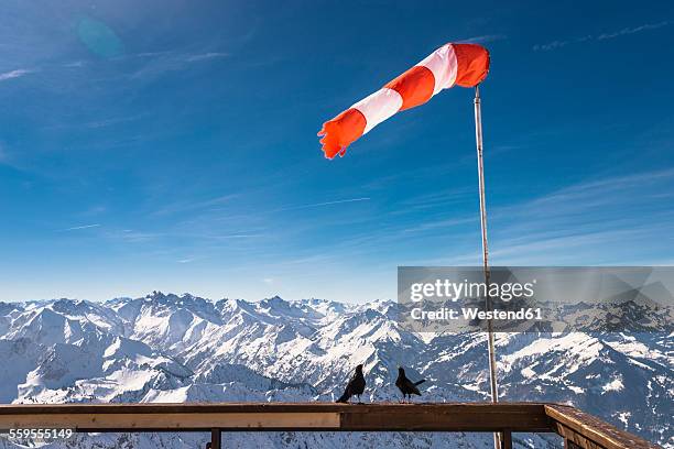 germany, bavaria, nebelhorn, windsock and jackdaws on observation terrace - windsock stock pictures, royalty-free photos & images