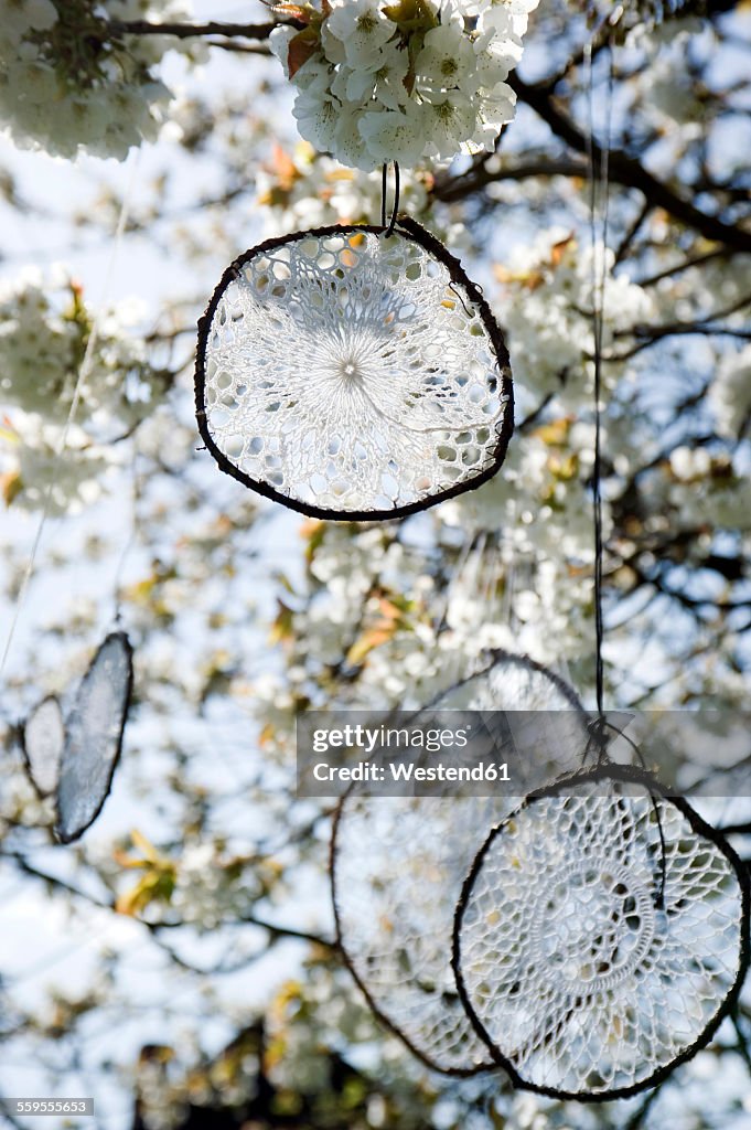 Dream catcher made of old crochet tablecloths hanging in blossoming cherry tree