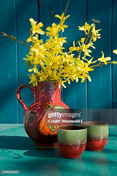 old seventies jar with blossoming twigs of forsythia - forsythia stock-fotos und bilder