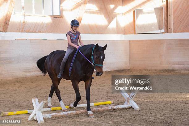 teenage girl riding horse at riding ring - dressage stockfoto's en -beelden