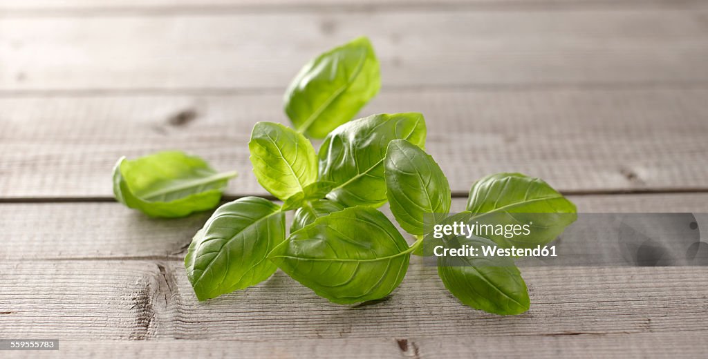 Basil leaves on wood