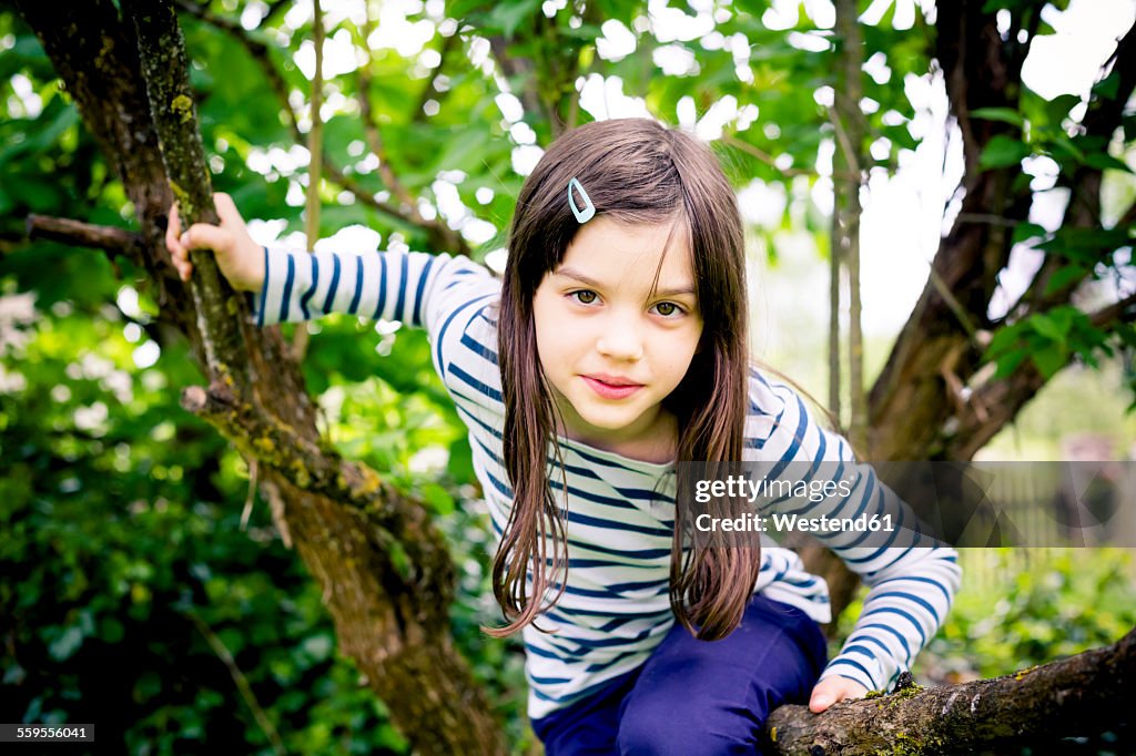 Portrait of girl climbing in a tree